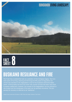 BUSHLAND RESILIANCE AND FIRE