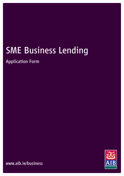 SME Business Lending Application Form - AIB