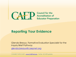 Reporting Your Evidence