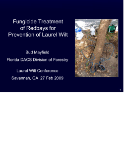 Fungicide Treatment of Redbays for Prevention of Laurel Wilt