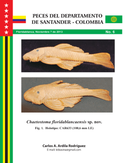 Revista Chaetostoma Floridablanca