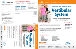 Vestibular System - Summit Professional Education