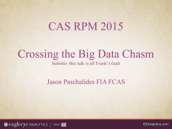 CAS RPM 2015 Crossing the Big Data Chasm