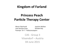 Kingdom of Farland Princess Peach ParFcle Therapy Center