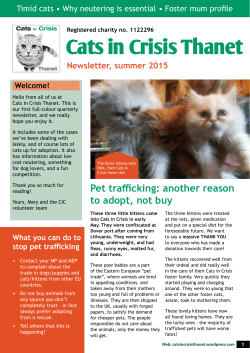 Cats in Crisis Thanet newsletter â summer 2015