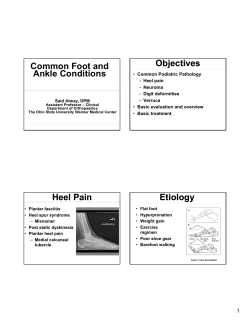Common Foot and Ankle Conditions Objectives Heel Pain Etiology