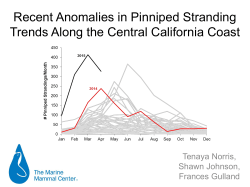 Recent Anomalies in Pinniped Stranding Trends Along the