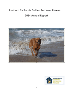Southern California Golden Retriever Rescue 2014 Annual Report