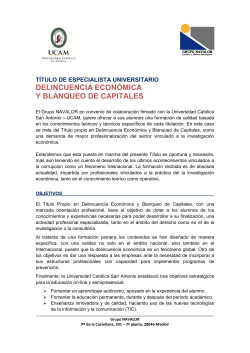 PDF file (in Spanish)