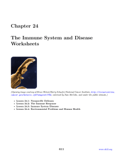 Chapter 24 The Immune System and Disease