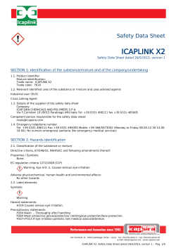 Safety Data Sheet - ICAP-SIRA Chemicals & Polymers SpA