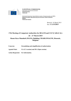 Doc. CA/15/2015 17th Meeting of Competent Authorities for REACH