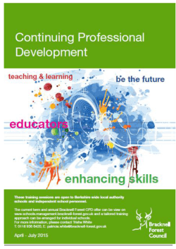 Continuing professional development annual programme