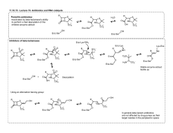 Lecture 15 Antibiotics and RNA catalysts