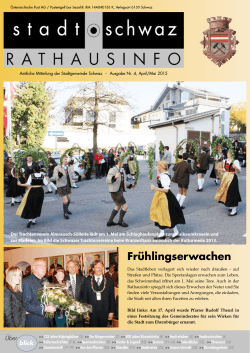 PDF Rathausinfo Nr. 04/2015