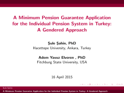 A Minimum Pension Guarantee Application for the Individual