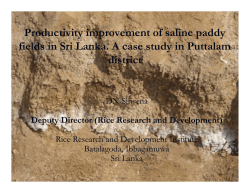 Productivity improvement of saline paddy fields in Sri Lanka. A case