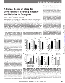 A Critical Period of Sleep for Development of Courtship Circuitry and