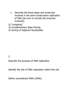Joining of Adjacent Nucleotides 2. Describe the purpose of DNA