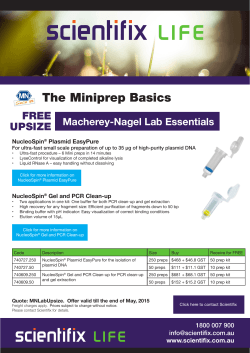 The Miniprep Basics