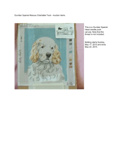 Clumber Spaniel Rescue Charitable Trust â Auction items This is a