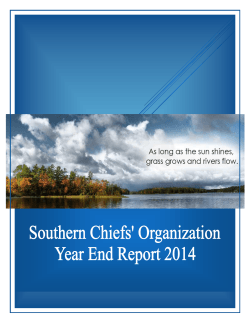 Annual Report 2014 - Southern Chiefs` Organization
