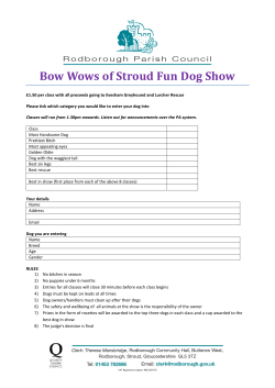 Dog Show Entry Form