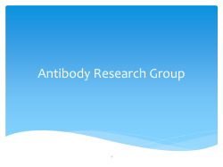 Antibody Technology Research Group (ARG)
