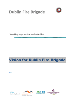 Consultation Vision Document - Dublin City Council Consultations