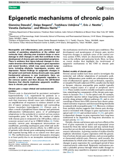 Epigenetic mechanisms of chronic pain