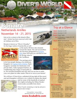 Bonaire November 2015