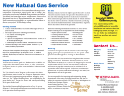 Gas Meter Installation Guidelines - Montana-Dakota Utilities