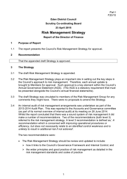 Risk Management Strategy - Meetings, agendas, and minutes