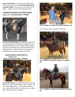 April 2015 - Corsica Horse Sale