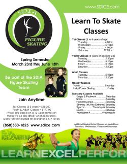 Learn To Skate Classes