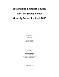 Snowy Plover Monthly Report for LA & Orange Counties