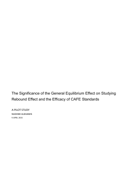 The Significance of the General Equilibrium Effect on Studying
