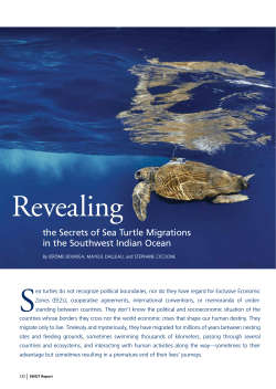 the secrets of sea Turtle Migrations in the southwest Indian Ocean