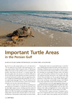Important Turtle Areas - The State of the World`s Sea Turtles