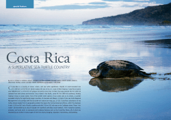 Costa Rica: A Superlative Sea Turtle Country