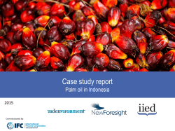 Case Study: Palm Oil in Indonesia