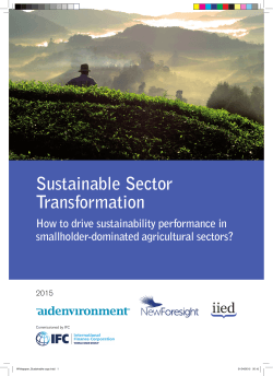 White paper - The Sustainable Sector Transformation Model