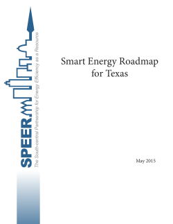 Smart Energy Roadmap for Texas - SPEER