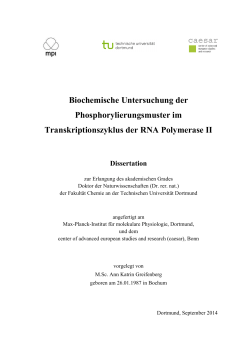 Biochemische Untersuchung der