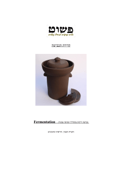 לחץ להורדת חוברת הוראות ומתכונים בעברית