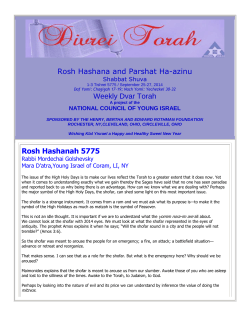 Rosh Hashanah 5775 - Young Israel of Hillcrest