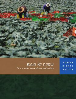the full report in Hebrew