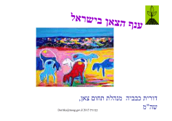 ענף הצאן בישראל 2014 - מצגת של דורית כבביה מיום