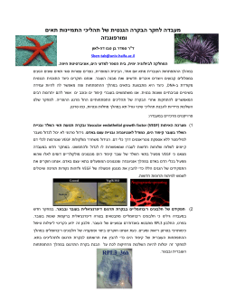 מחקר על עוברי קיפוד ים וכוכב ים ומחלת הסרטן