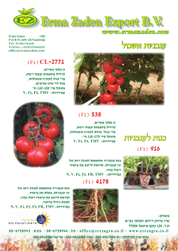 דף מידע זרעי עגבניות אשכול